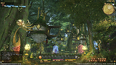 画像ギャラリー No.008のサムネイル画像 / 「ファイナルファンタジーXIV:新生エオルゼア」,αバージョンプレイデモのPart4「続・黒衣森 ウォークスルー」およびスクリーンショットを公開