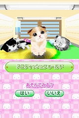 画像ギャラリー No.004のサムネイル画像 / 「かわいい子猫DS2」の公式サイトがオープン。可愛いプレイムービーも公開