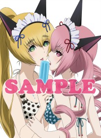 画像ギャラリー No.002のサムネイル画像 / 水着がまぶしい「STEINS;GATE」や「マヴラヴ」グッズがコミケ80に登場