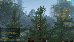 画像ギャラリー No.015のサムネイル画像 / MMORPG「ArcheAge」は,そこに住んでみたいと思わせる仮想世界だ。プレイヤーの誰もが開拓者になったファミリーテストに参加してみた