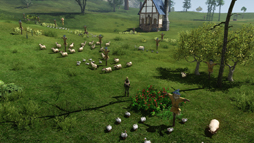 画像ギャラリー No.023のサムネイル画像 / MMORPG「ArcheAge」は,そこに住んでみたいと思わせる仮想世界だ。プレイヤーの誰もが開拓者になったファミリーテストに参加してみた