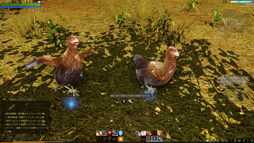 画像ギャラリー No.024のサムネイル画像 / MMORPG「ArcheAge」は,そこに住んでみたいと思わせる仮想世界だ。プレイヤーの誰もが開拓者になったファミリーテストに参加してみた