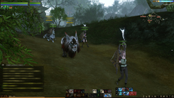 画像ギャラリー No.027のサムネイル画像 / MMORPG「ArcheAge」は,そこに住んでみたいと思わせる仮想世界だ。プレイヤーの誰もが開拓者になったファミリーテストに参加してみた