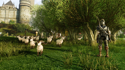 画像ギャラリー No.044のサムネイル画像 / MMORPG「ArcheAge」は,そこに住んでみたいと思わせる仮想世界だ。プレイヤーの誰もが開拓者になったファミリーテストに参加してみた