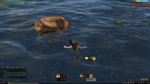 画像ギャラリー No.029のサムネイル画像 / 「ArcheAge」の海には何が待っているのだろう。単なる貿易の航路だけではない,さまざまな“海”の姿を紹介しよう