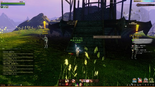 画像ギャラリー No.009のサムネイル画像 / 「ArcheAge」新レイドボス「リーウー」プレイレポート。解禁された大空を舞台に,巨鳥との大規模な戦争が始まる!