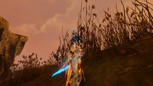 画像ギャラリー No.041のサムネイル画像 / 「ArcheAge」新レイドボス「リーウー」プレイレポート。解禁された大空を舞台に,巨鳥との大規模な戦争が始まる!