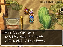 画像ギャラリー No.019のサムネイル画像 / 謎を解き明かそう。NDS「ドラゴンクエストVI　幻の大地」最新情報が公開に