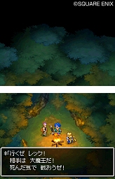 画像ギャラリー No.002のサムネイル画像 / NDS「ドラゴンクエストVI 幻の大地」の発売日が2010年1月28日に決定！
