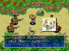 画像ギャラリー No.014のサムネイル画像 / 南の島を舞台に新たな冒険が始まる! 人気シリーズ最新作「不思議のダンジョン 風来のシレン4 神の眼と悪魔のヘソ」が今冬発売