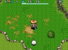 画像ギャラリー No.028のサムネイル画像 / 南の島を舞台に新たな冒険が始まる! 人気シリーズ最新作「不思議のダンジョン 風来のシレン4 神の眼と悪魔のヘソ」が今冬発売