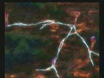 画像ギャラリー No.021のサムネイル画像 / キャラクターデザインも一新したシリーズ最新作「サモンナイトグランテーゼ 滅びの剣と約束の騎士」,バンダイナムコゲームスより2010年春発売