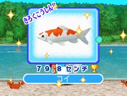 画像ギャラリー No.011のサムネイル画像 / 水族館で夢をかなえよう! 「みんなの水族館」,「釣り」や「ショップ」などのゲーム要素を紹介