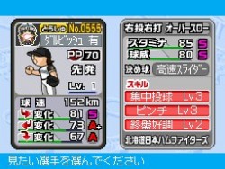画像ギャラリー No.025のサムネイル画像 / 「プロ野球 ファミスタDS 2010」最新情報，充実した選手育成要素が明らかに