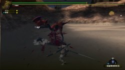 画像ギャラリー No.018のサムネイル画像 / Xbox 360に新風を巻き起こすオンラインゲームになるか？　Xbox 360版「モンスターハンター フロンティア オンライン」クローズドβテストレポート