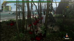 画像ギャラリー No.040のサムネイル画像 / Xbox 360に新風を巻き起こすオンラインゲームになるか？　Xbox 360版「モンスターハンター フロンティア オンライン」クローズドβテストレポート