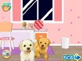 画像ギャラリー No.007のサムネイル画像 / 「かわいい仔犬DS3」の公式サイトがオープン。TV CM映像の仔犬を見てデレデレしちゃおう
