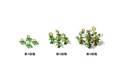 画像ギャラリー No.009のサムネイル画像 / 今春サービス予定の「英雄島」,農場システムやマイホームシステムなど一部の情報が公開