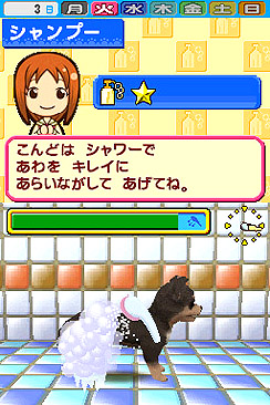 画像ギャラリー No.002のサムネイル画像 / さあ，癒されまくろう。タイトー，NDS用ソフト「ペットショップ物語DS 2」を4月1日にリリース