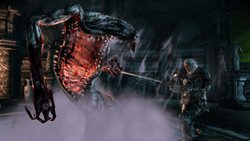 画像ギャラリー No.006のサムネイル画像 / PS3/Xbox 360版「Dragon Age: Origins」には,海外版に登場した6本のDLCが同梱することが判明
