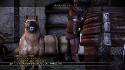 画像ギャラリー No.009のサムネイル画像 / PS3/Xbox 360版「Dragon Age: Origins」には,海外版に登場した6本のDLCが同梱することが判明