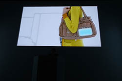 画像ギャラリー No.038のサムネイル画像 / 任天堂の今後の展開と，ニンテンドー3DSの各種機能・タイトルが紹介された「任天堂カンファレンス2010」レポート（前編）