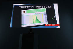 画像ギャラリー No.058のサムネイル画像 / 任天堂の今後の展開と，ニンテンドー3DSの各種機能・タイトルが紹介された「任天堂カンファレンス2010」レポート（前編）