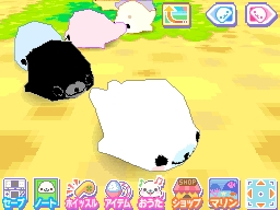 画像ギャラリー No.005のサムネイル画像 / こんなにかわいいのが同時に8匹も飼えるなんて！ ニンテンドーDS用ソフト「まめゴマ3〜かわいいがいっぱい〜」は2010年8月5日発売