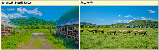 画像ギャラリー No.026のサムネイル画像 / 「キャラフレ」，「修学旅行イベント」の全マップが開放中
