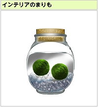 画像ギャラリー No.033のサムネイル画像 / 「キャラフレ」，「修学旅行イベント」の全マップが開放中
