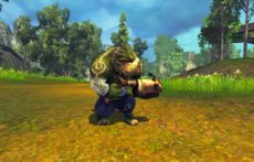 画像ギャラリー No.013のサムネイル画像 / 「RaiderZ」の対人戦システムや,時間および天候の変化,変身,楽器の演奏などのゲームシステムを紹介