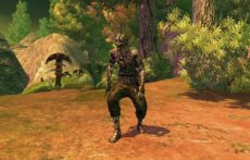 画像ギャラリー No.015のサムネイル画像 / 「RaiderZ」の対人戦システムや,時間および天候の変化,変身,楽器の演奏などのゲームシステムを紹介