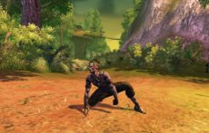 画像ギャラリー No.016のサムネイル画像 / 「RaiderZ」の対人戦システムや,時間および天候の変化,変身,楽器の演奏などのゲームシステムを紹介