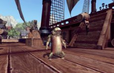 画像ギャラリー No.017のサムネイル画像 / 「RaiderZ」の対人戦システムや,時間および天候の変化,変身,楽器の演奏などのゲームシステムを紹介