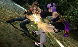 画像ギャラリー No.015のサムネイル画像 / 来日した「DOA Champions」も参戦！　ニンテンドー3DS「DEAD OR ALIVE Dimensions」ロケテストレポート