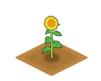 画像ギャラリー No.001のサムネイル画像 / 牧場を夏らしい雰囲気に。「みんなで牧場物語」,ヒマワリが期間限定で登場
