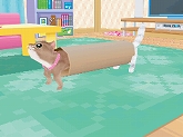 画像ギャラリー No.014のサムネイル画像 / 「かわいい子猫DS3」,発売日が12月2日に。ゲーム内容を紹介