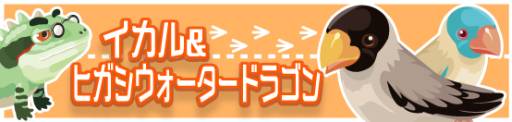 画像ギャラリー No.004のサムネイル画像 / 「虹色どうぶつ園」,限定アイテムなどが手に入る「秋祭りイベント」を開催