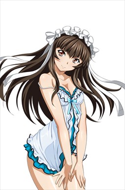画像ギャラリー No.010のサムネイル画像 / 「ブラウザ一騎当千」,トーシダスに「ナイトドレス(後半)」が登場