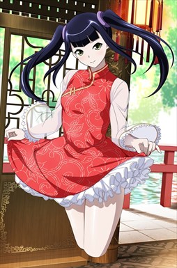 画像ギャラリー No.013のサムネイル画像 / 「ブラウザ一騎当千」,トーシダスに「変形チャイナ(後半)」を追加