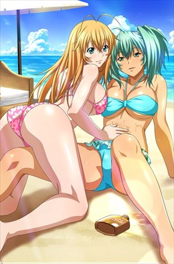 画像ギャラリー No.003のサムネイル画像 / 「ブラウザ一騎当千」,「ギリギリ♥バケーション 水着(前半) 」が登場