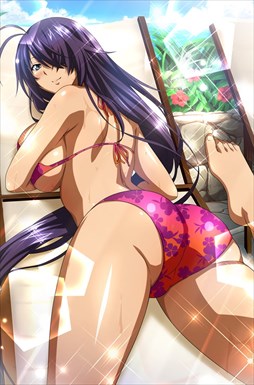 画像ギャラリー No.004のサムネイル画像 / 「ブラウザ一騎当千」,「ギリギリ♥バケーション 水着(前半) 」が登場