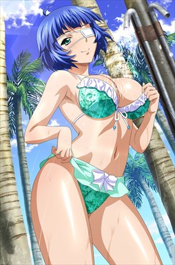 画像ギャラリー No.005のサムネイル画像 / 「ブラウザ一騎当千」,「ギリギリ♥バケーション 水着(前半) 」が登場