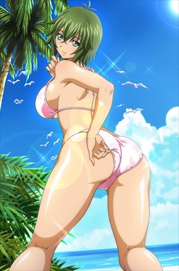 画像ギャラリー No.006のサムネイル画像 / 「ブラウザ一騎当千」,「ギリギリ♥バケーション 水着(前半) 」が登場
