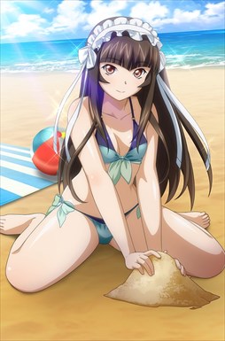 画像ギャラリー No.007のサムネイル画像 / 「ブラウザ一騎当千」,「ギリギリ♥バケーション 水着(前半) 」が登場