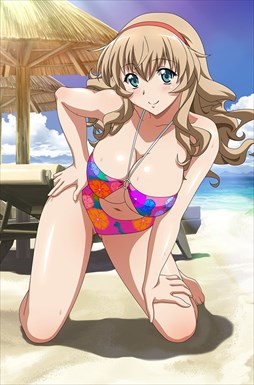 画像ギャラリー No.009のサムネイル画像 / 「ブラウザ一騎当千」,「ギリギリ♥バケーション 水着(前半) 」が登場