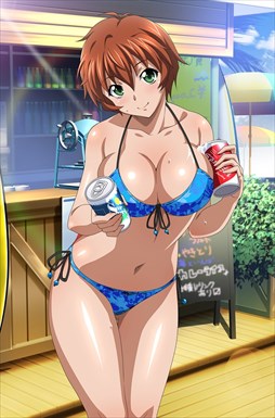 画像ギャラリー No.010のサムネイル画像 / 「ブラウザ一騎当千」,「ギリギリ♥バケーション 水着(前半) 」が登場