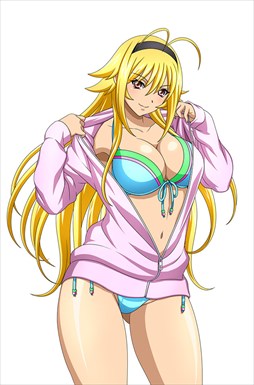 画像ギャラリー No.013のサムネイル画像 / 「ブラウザ一騎当千」,「ギリギリ♥バケーション 水着(前半) 」が登場