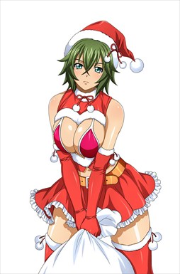 画像ギャラリー No.010のサムネイル画像 / 「ブラウザ一騎当千」,トーシダスに「聖夜の贈り物♥ クリスマス(後半)」が登場