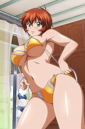 画像ギャラリー No.008のサムネイル画像 / 「ブラウザ一騎当千」，“密室で内緒☆着替え中”カードが登場